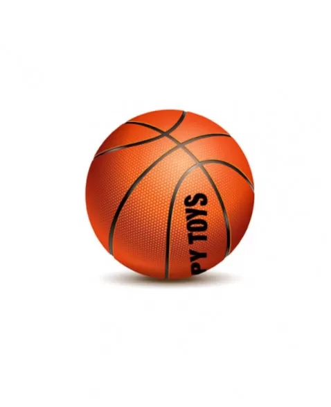 BOLA DE BASQUETE TAMANHO OFICIAL 530G/9241